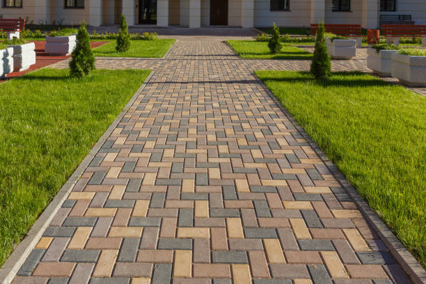 Best Driveway Paver Sealing  in Brooklyn Park, MN
